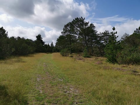 House | Miscellaneous