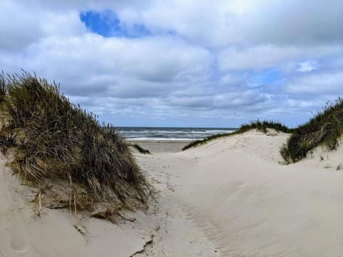 House | Beach