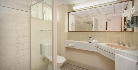 Superior Room, 1 Queen Bed, Mountain View | Bathroom | Shower, free toiletries, hair dryer, towels