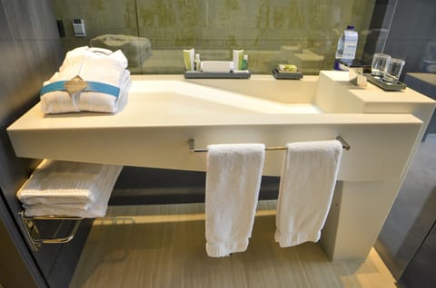 Superior Room | Bathroom | Shower, designer toiletries, hair dryer, bathrobes