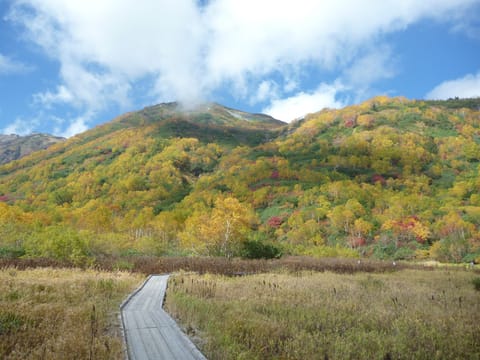 Hiking