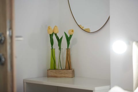 Apartment (Two Bedroom Apartment with Terrace an) | Interior detail