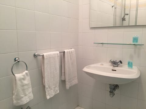 Shower, free toiletries, hair dryer, bidet