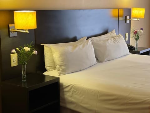 Junior Suite | Egyptian cotton sheets, premium bedding, down comforters