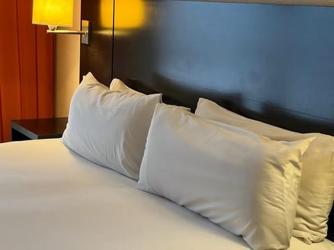 Standard Double Room | Egyptian cotton sheets, premium bedding, down comforters