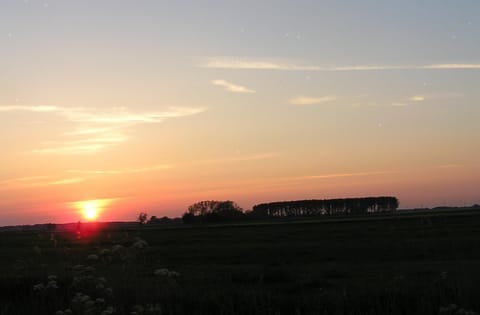 Town/city in general