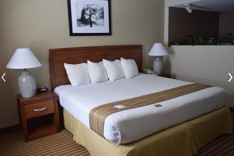 Premium bedding, desk, iron/ironing board, free WiFi