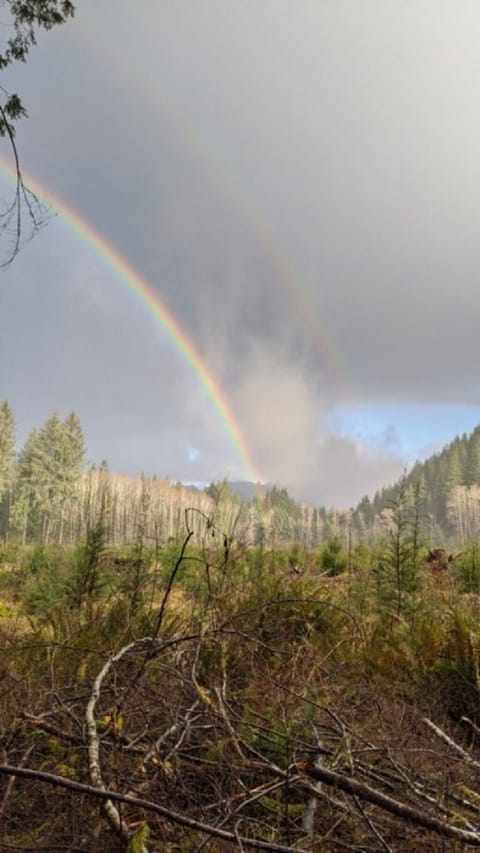 Spectacular views from deck of tiny house