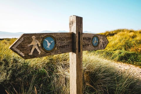 Stock photo - Anglesey Coastal Path