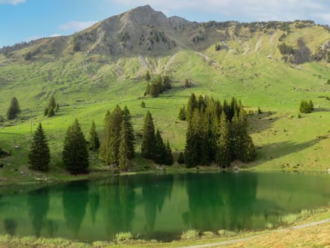 Sky, Snow, Mountain, Nature, Natural Landscape, Slope, House, Building, Freezing, Rural Area