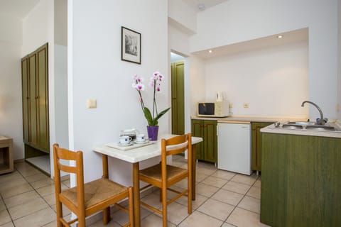 Apartment | Private kitchenette | Fridge, microwave, electric kettle