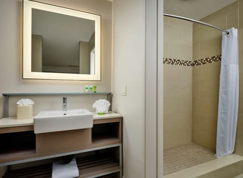 Shower, eco-friendly toiletries, hair dryer, towels