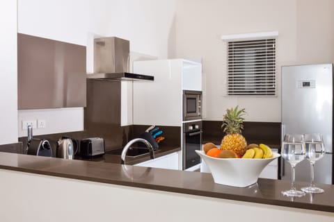 Premium Apartment | Private kitchen | Full-size fridge, microwave, oven, stovetop