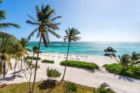 Beach nearby, white sand, sun loungers, beach umbrellas