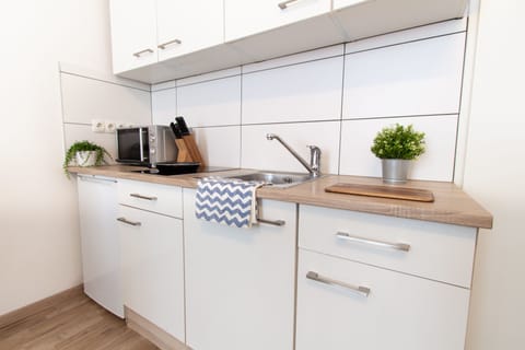 Studio | Private kitchen | Fridge, microwave, stovetop, dishwasher