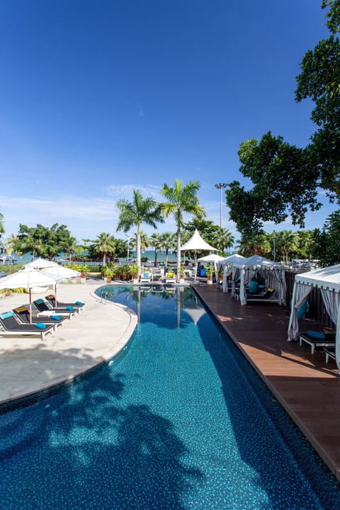 Outdoor pool, sun loungers