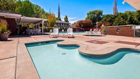 Seasonal outdoor pool, sun loungers