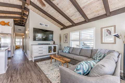 brand new sectional and smart tv