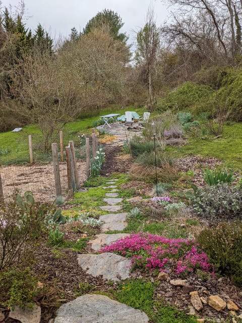 Spring 2022, backyard fire pit and cornhole