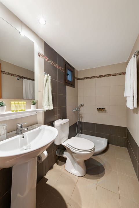 Superior Double Room | Bathroom | Shower, hair dryer, towels, soap