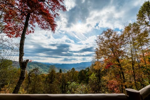 View from Fontana View 3