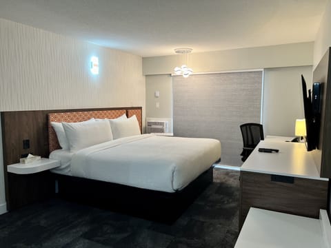 Standard Room, 1 King Bed, Non Smoking | 1 bedroom, premium bedding, individually decorated