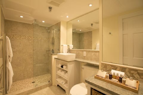 King Suite With Balcony | Bathroom shower