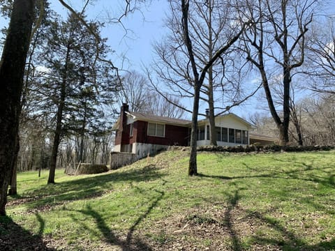Front yard looking at the house 