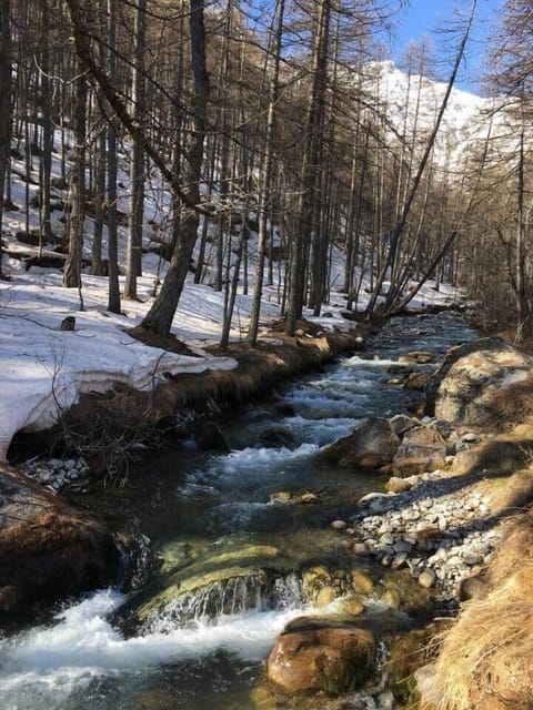 Torrent des alpages à 50 ms; menant au restaurant d'altitude Peyra Juana 