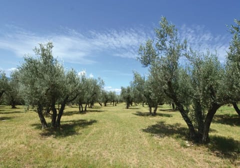 Hypo-allergenic bedding, individually decorated, individually furnished