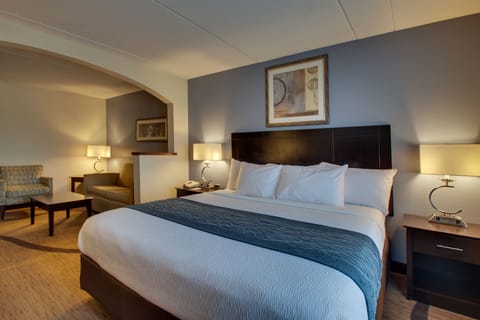 Superior Suite, 1 King Bed (Non-Smoking Standard Suite) | Desk, blackout drapes, iron/ironing board, free WiFi