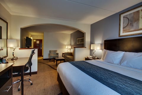 Superior Suite, 1 King Bed (Non-Smoking Standard Suite) | Desk, blackout drapes, iron/ironing board, free WiFi