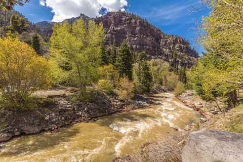Beautiful Views of River
