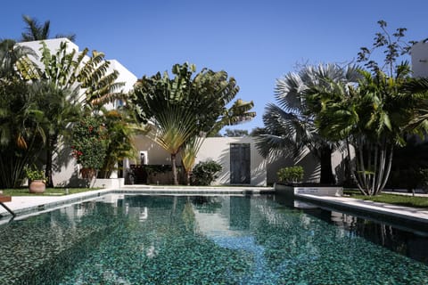 Outdoor pool, sun loungers