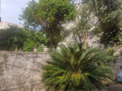 Apartment (One Bedroom Apartment) | Exterior