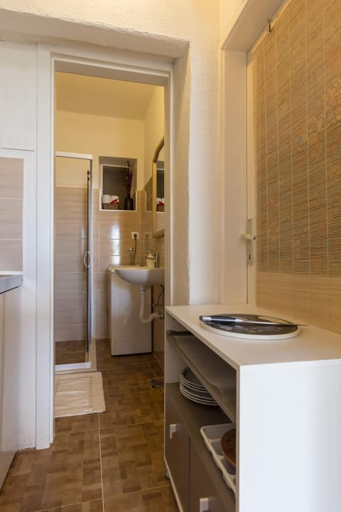 Studio (Studio Apartment with Terrace) | Bathroom | Shower, hair dryer, towels