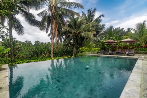 Outdoor pool, pool umbrellas