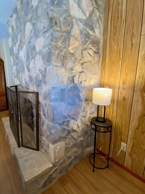 NORTH STAR - Rock fireplace is impressive.