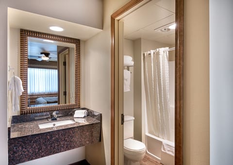 Deluxe Room | Bathroom | Combined shower/tub, hair dryer, towels, soap