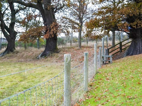 Garden | Brahan Cottages- Seaforth Cottage, Brahan, near Dingwall