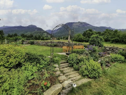 Sky, Plant, Cloud, Mountain, Flower, Natural Landscape, Highland, Tree, Street Light, Mountainous Landforms