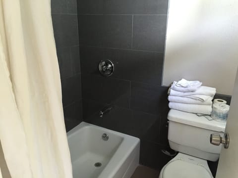 Combined shower/tub, free toiletries, towels