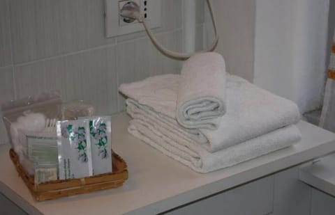 Standard Double or Twin Room | Bathroom amenities | Shower, rainfall showerhead, free toiletries, hair dryer