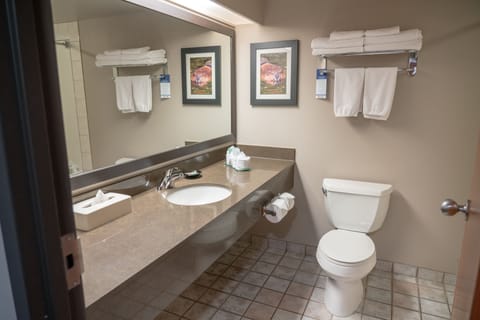 Superior Room 2 Queen Beds plus sofabed | Bathroom | Combined shower/tub, eco-friendly toiletries, hair dryer, towels