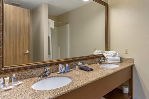 Deluxe Suite, 1 King Bed, Non Smoking (Upgrade) | Bathroom | Free toiletries, hair dryer, towels, soap