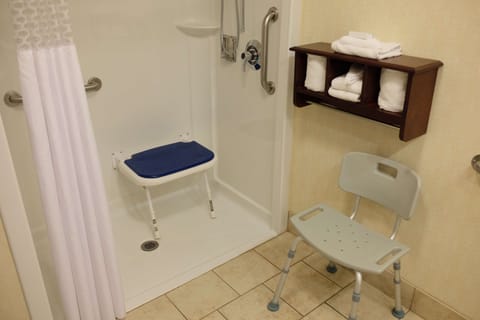 Room, 1 King Bed, Accessible, Non Smoking | Bathroom shower