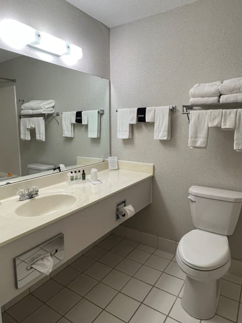 Room, 1 King Bed with Sofa bed | Bathroom | Combined shower/tub, free toiletries, hair dryer, towels