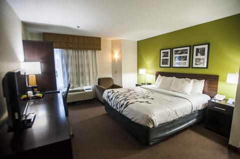 Standard Room, 1 King Bed, Non Smoking | 1 bedroom, premium bedding, desk, blackout drapes