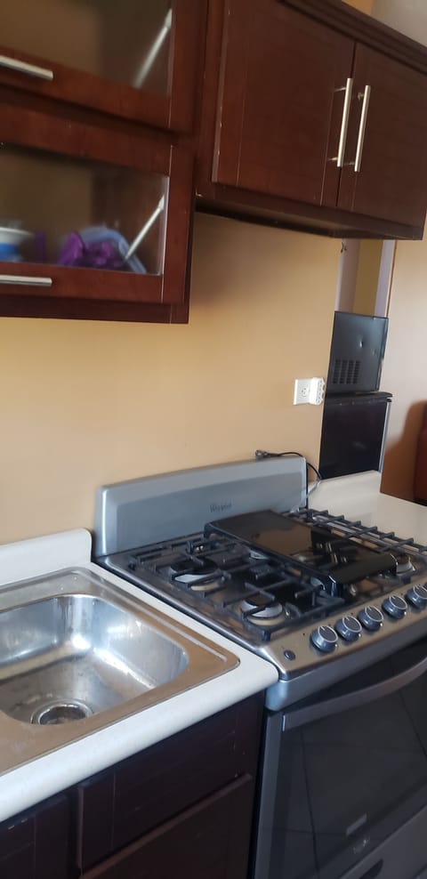 Basic Apartment | Private kitchen | Mini-fridge, microwave, oven, stovetop