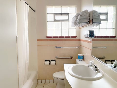 Family Suite | Bathroom | Free toiletries, hair dryer, towels